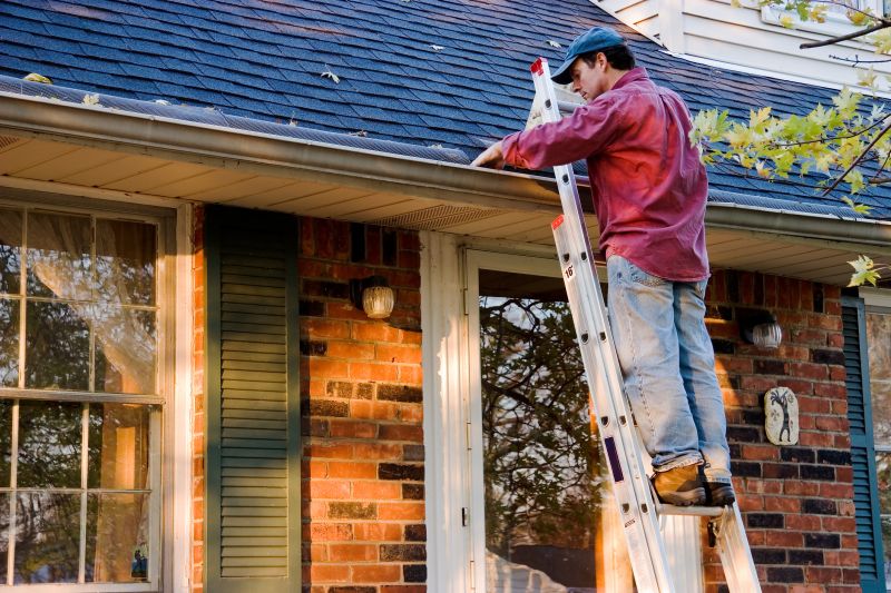 Gutter Cleaning And Repair