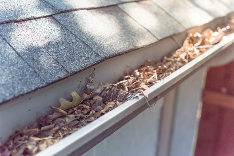 Clogged Gutters