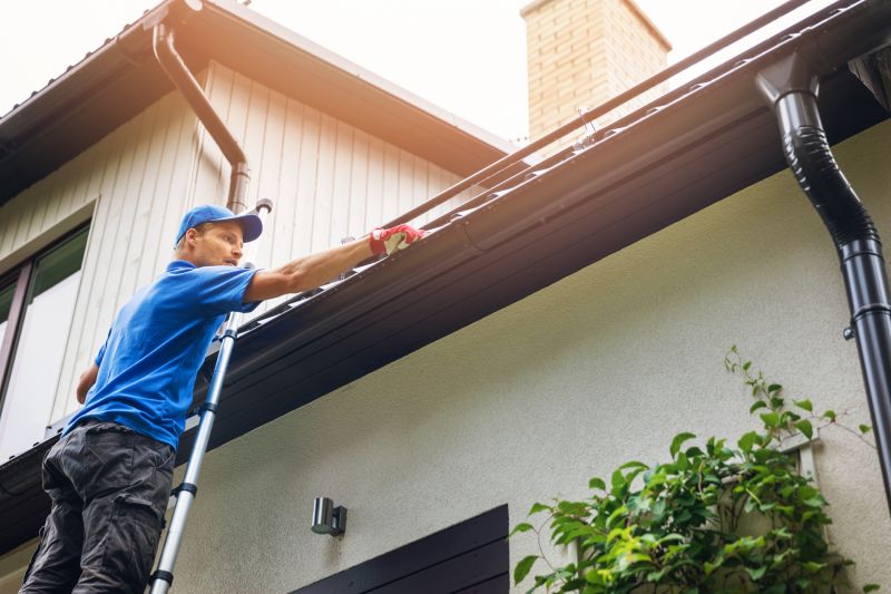 Gutter Cleaning and Repair