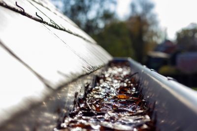 Allow a Professional To Handle Clogs, Breaks, or Other Damage To Your Gutters!