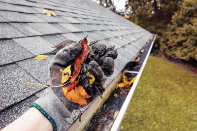 Get Leaves and Debris Removed From Your Gutters!