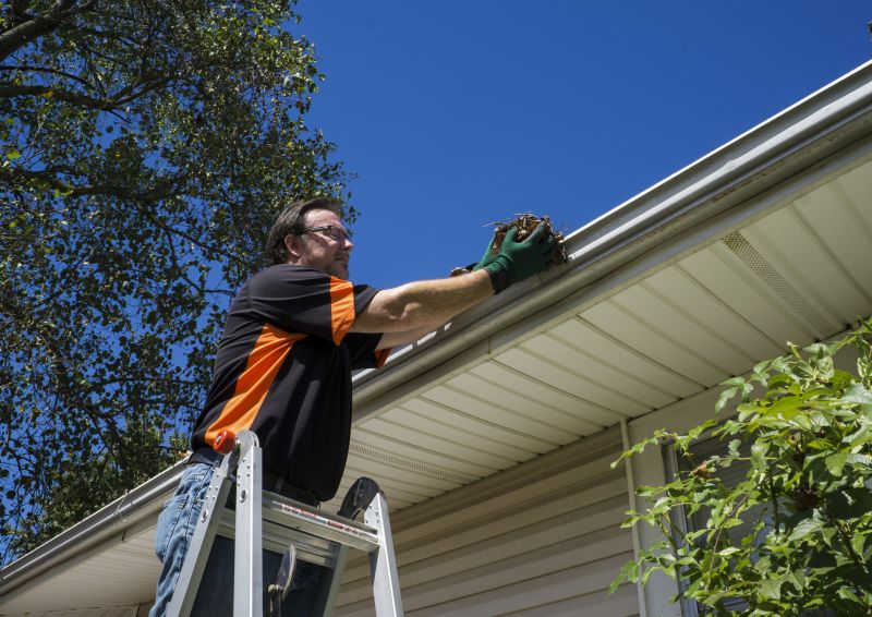 Gutter Cleaning & Repair Services